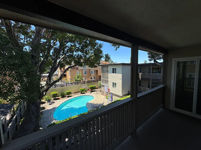 Pool From Deck