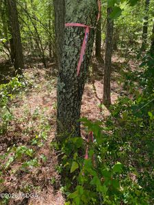 0 Maynards Mill Rd Parcel 7, Forsyth, GA, 31029