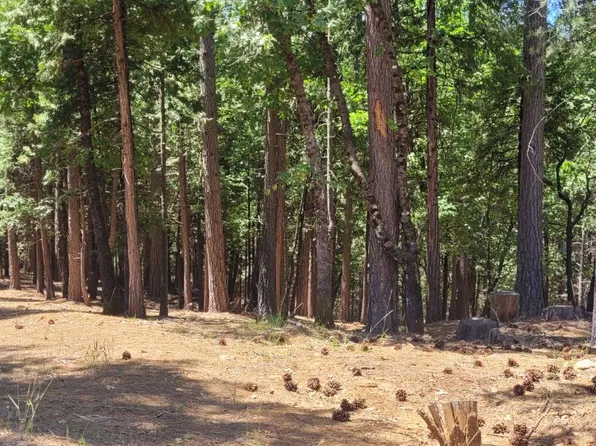 4790 Sierra Springs Dr, Pollock Pines, CA 95726