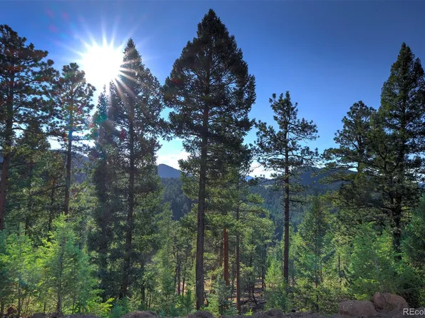 6845 Lynx Lair Road, Evergreen, CO 80439