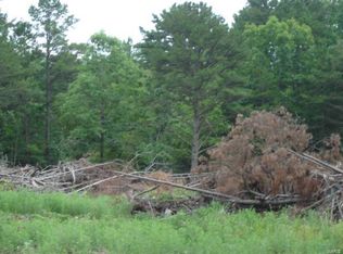 12831 Cadle Rd, Licking, MO 65542