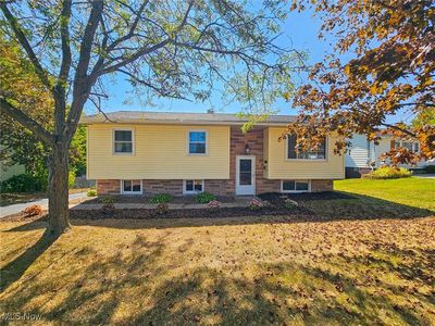 2981 Louise Rita Ct, Youngstown, OH, 44511