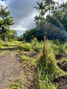 North Rd, Pahoa, HI, 96778