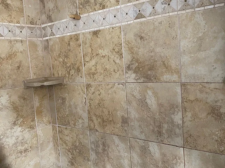 Back House Shower