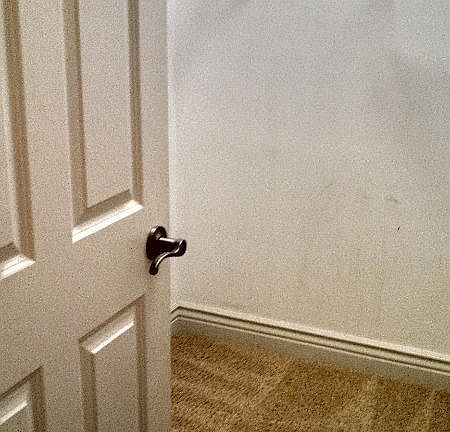 Walk-in closet off of mater bath
