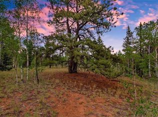 545 Buffalo Ridge Rd, Como, CO 80432