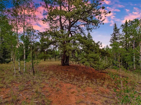 545 Buffalo Ridge Road, Como, CO 80432