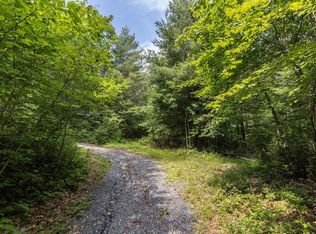 Old Resort Ln, Hinton, VA 22831