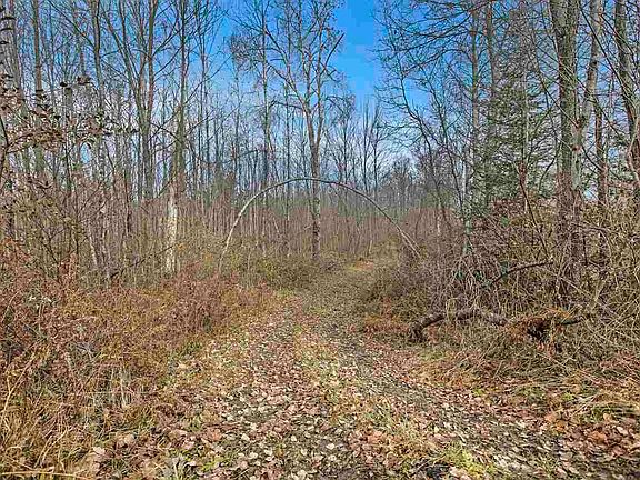 5th image of River Rd S