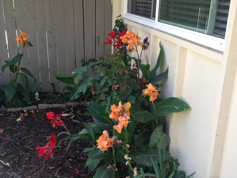 17952 Ranch Dr #23 — Photo 8