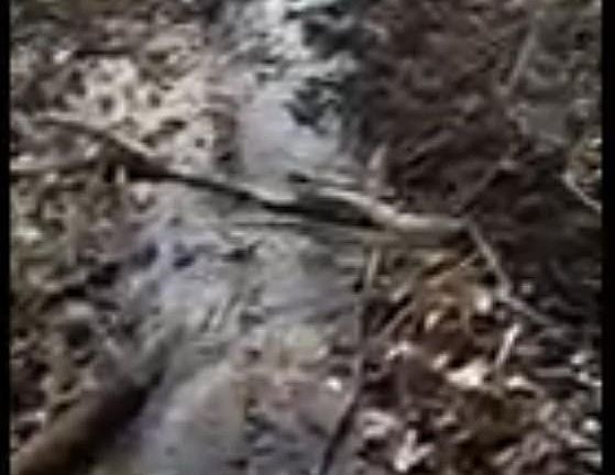 4th image of 1217 McClure Rd