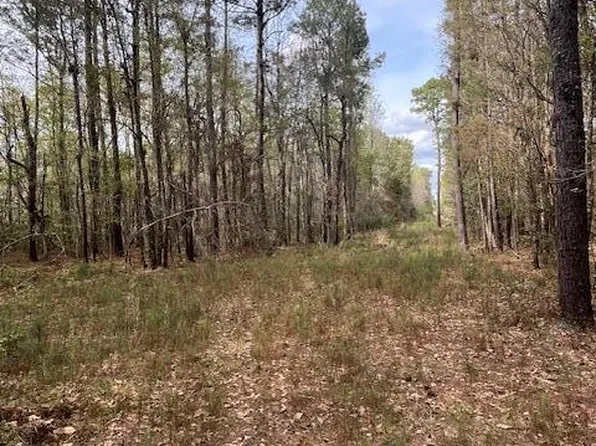 0 Palm St, Reevesville, SC 29471