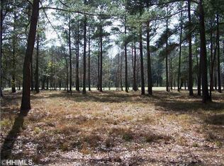 5 Wimbee Cir, Okatie, SC 29909