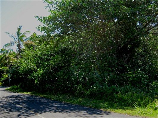 4th image of Paradise Ala Kai Dr