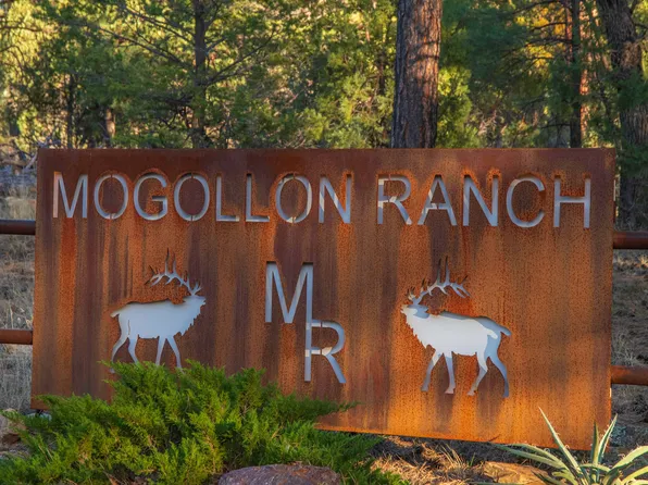 3633 SUNSET RIDGE Loop #166, Happy Jack, AZ 86024