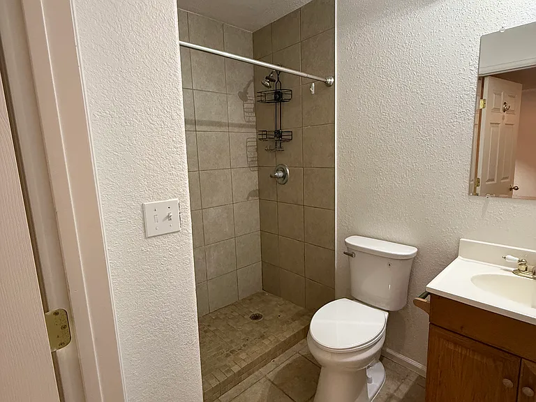 Basement Bathroom
