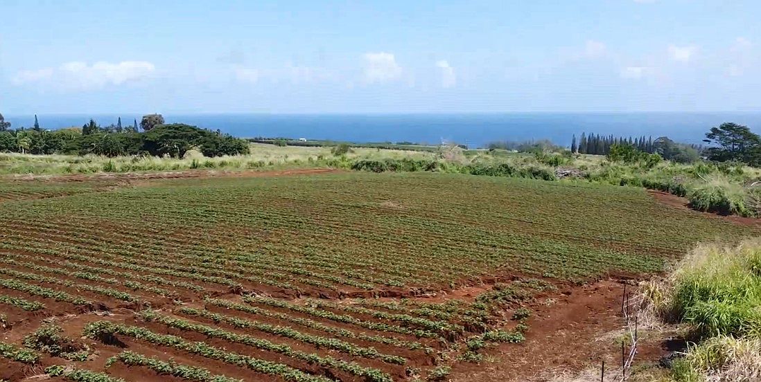 28561 Opua Rd, Pepeekeo, HI 96783 Zillow