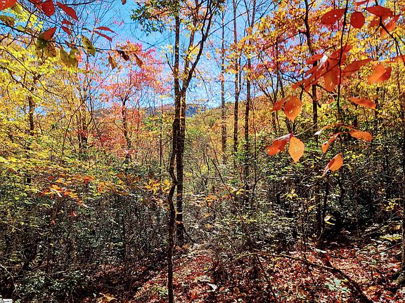 5th image of 0 Bettys Creek Rd