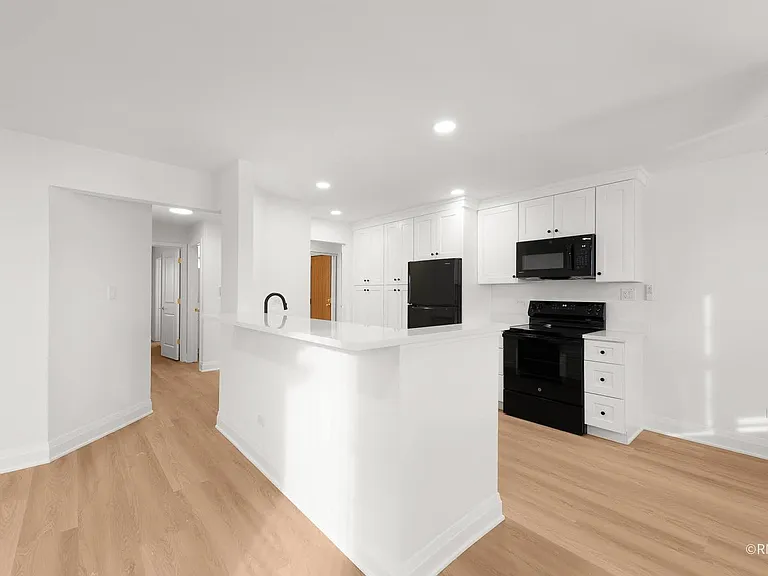 226 S Rush St #2A — Photo 4