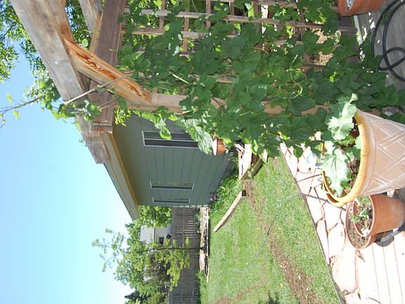 deck and studio