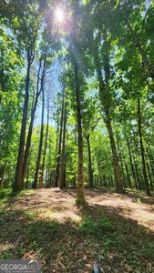 7830 E Cherokee Dr, Canton, GA, 30115