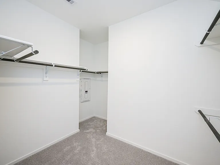 26811 Tree Mallow Dr — Photo 29