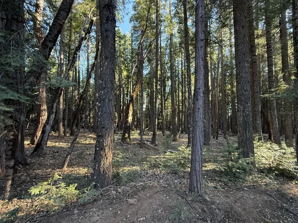 Chalk Bluff, Nevada City, CA 95959