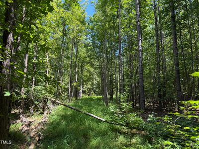 0 Stonehouse Ct Lot 50, Franklinton, NC, 27525