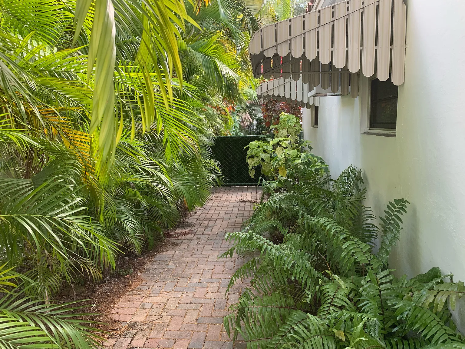 1 bed, $2,000 — Photo 4