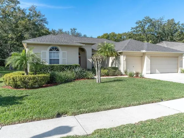 5192 Karlsburg Pl, Palm Harbor, FL 34685