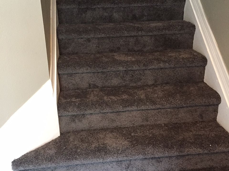 staircase with new carpet