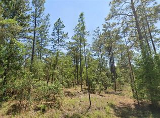 0 NW Shamrock Ave #2, Dunnellon, FL 34431