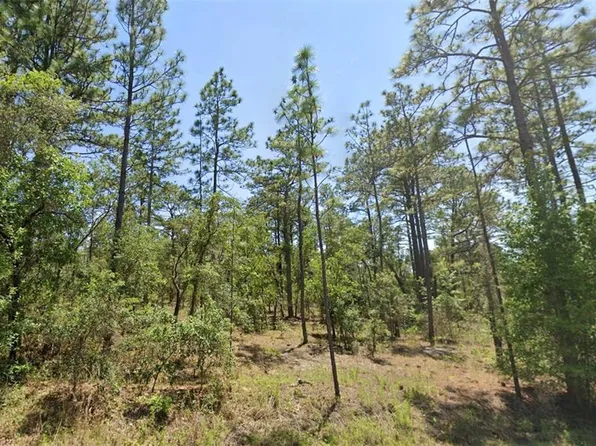 0 NW Shamrock Ave #2, Dunnellon, FL 34431