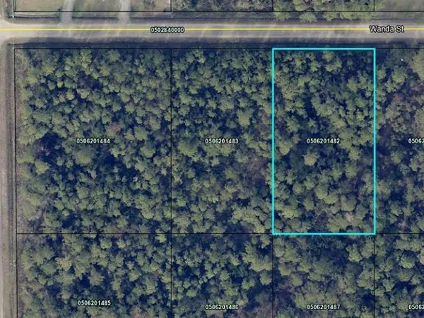 4445 Wanda St, Hastings, FL 32145