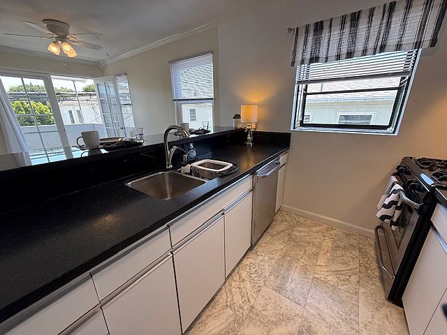 Charming and happy views from the kitchen.