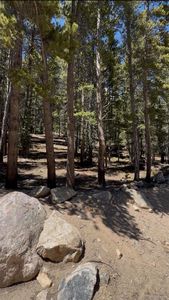 Lot 378 Alice Road LOT 378, Idaho Springs, CO, 80452