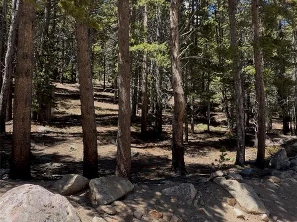 Lot 378 Alice Road LOT 378, Idaho Springs, CO 80452