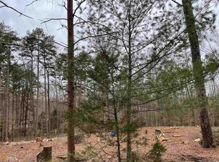 301 Arizona St, Demorest, GA 30535