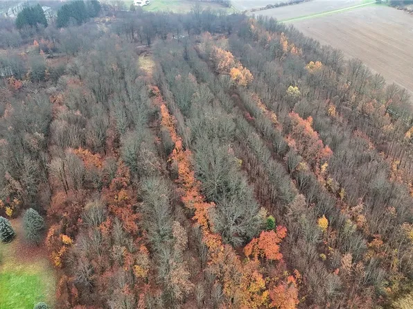 LOT Leasureville Rd, Cabot, PA 16023