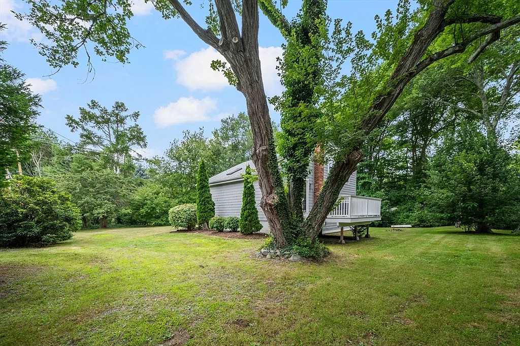 2 bed, 2.0 bath, 832 sqft, $3,500 — Photo 4