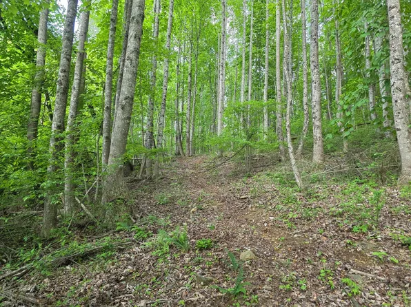 Bent Nail Rd, Hillsville, VA 24343