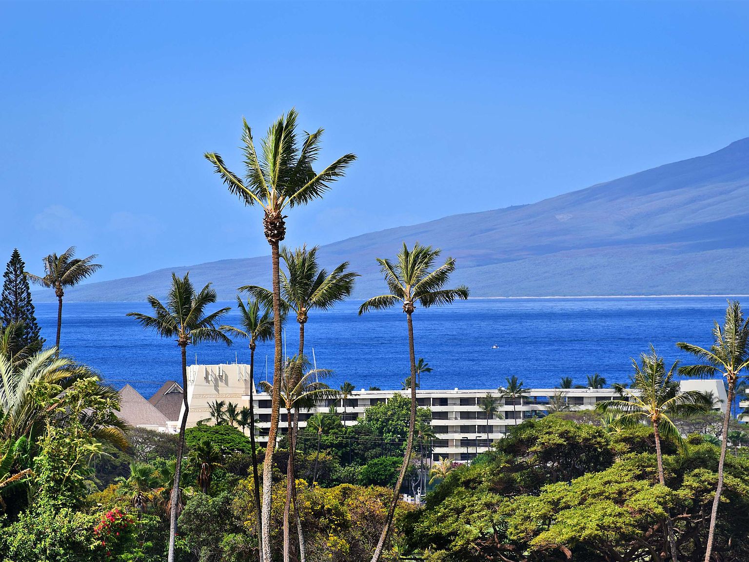 150 Puukolii Rd APT 6