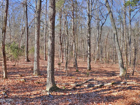 3rd image of 151 E Shore Dr Lot 151