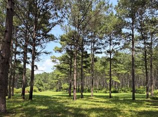 O'County Rd #355, Elba, AL 36323