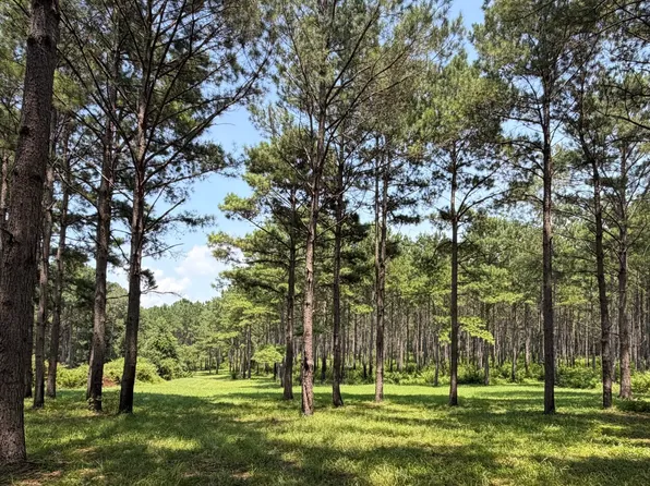 O'County Rd #355, Elba, AL 36323