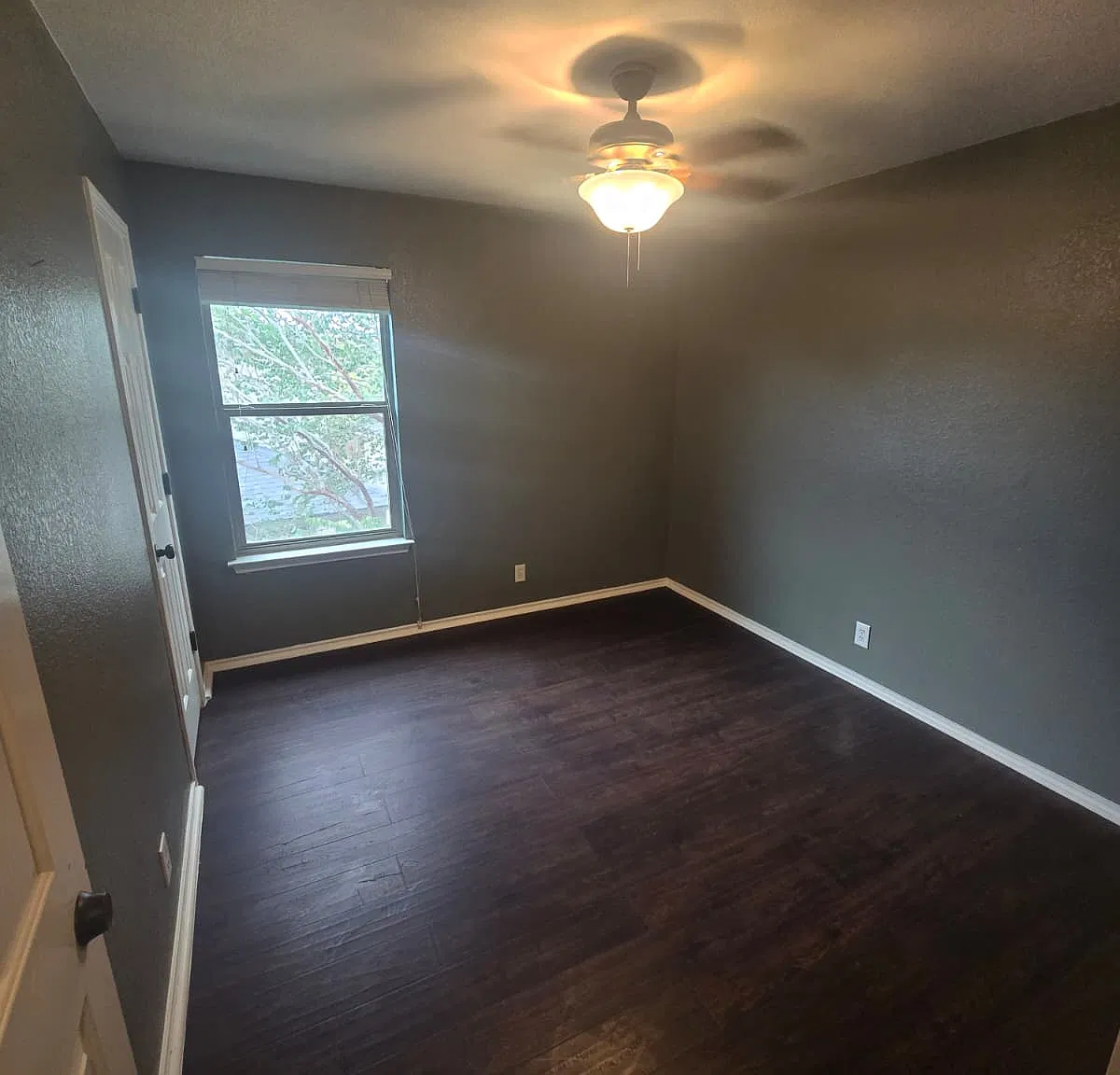 1 bed, $499 — Photo 3