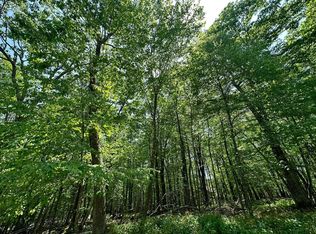 Lots 108 & 109 Violet Ct, Terra Alta, WV 26764