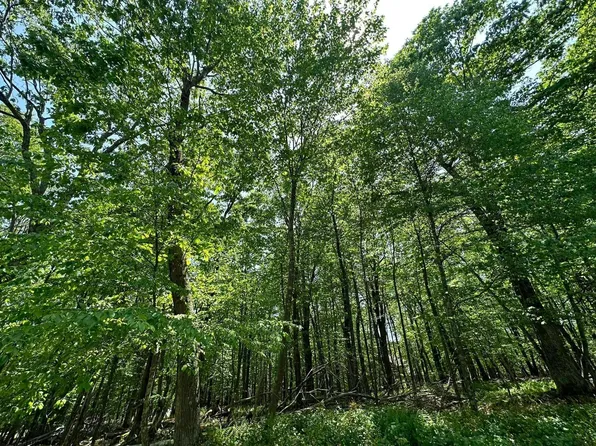 Lots 108 & 109 Violet Ct, Terra Alta, WV 26764