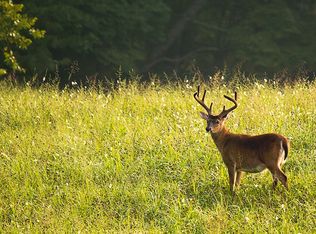 391 S Truhn Rd, HOWELL, MI 48843