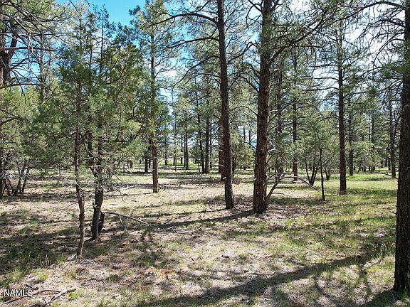 4th image of 581 Cooper Ranch Rd Lot 4